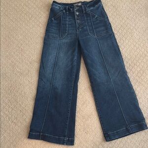 Kut from the Kloth Meg Wide Leg Jean